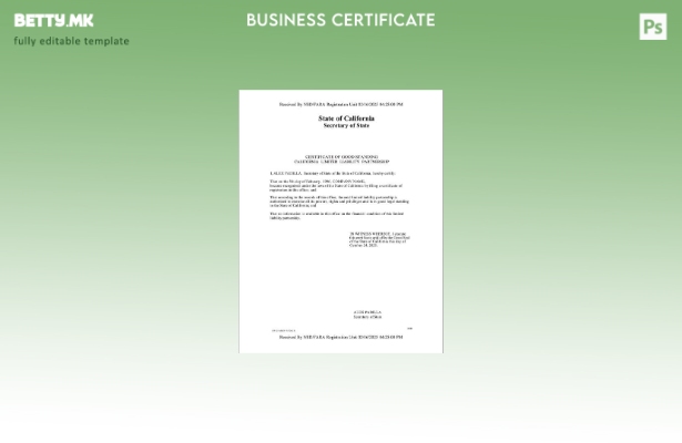 модерен стил САД Калифорнија сертификат за добра состојба Шаблон за Word и PDF